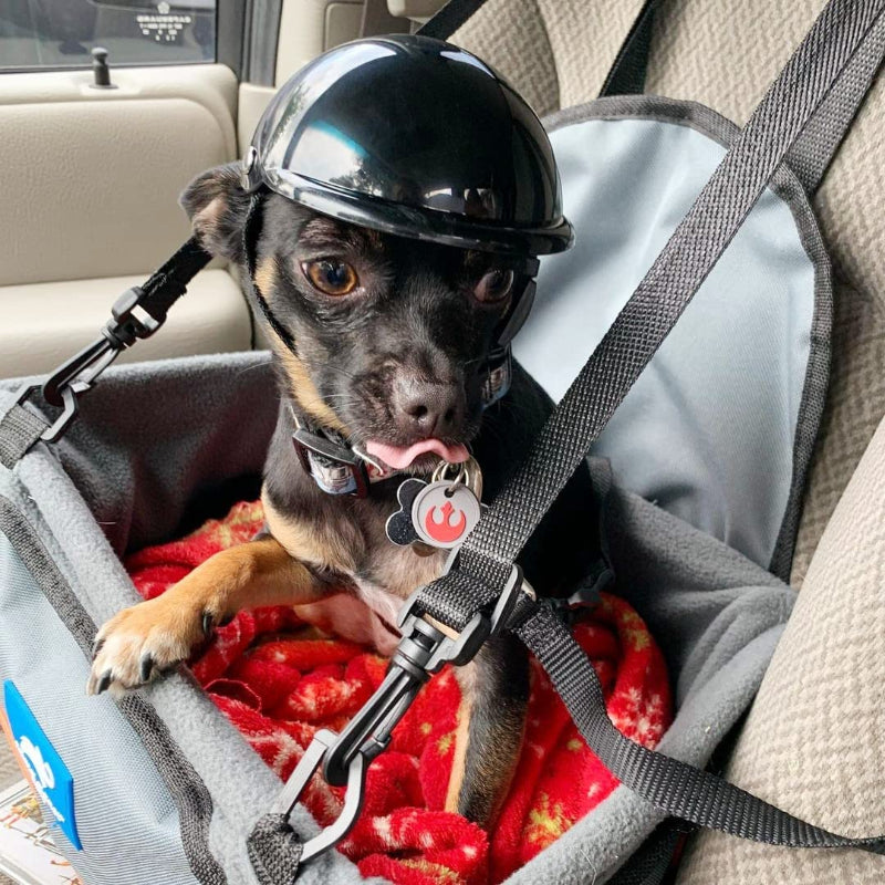 Pet Helmet Dog Hard Hat Small Dogs Motorcycle Helmet Bike Cat Hat Outdoor Riding Puppy Cap-Paw Print Pad