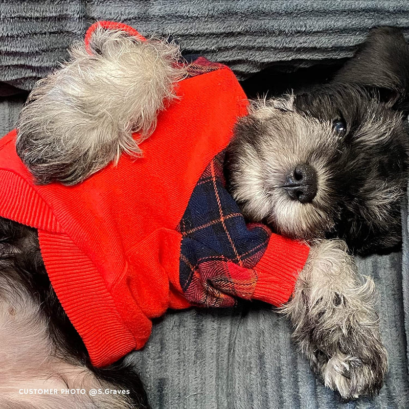 100% Cotton Girl Plaid Dog Clothes Lightweight Puppy Hoodie Pet Sweatshirt Doggie Hooded Outfits Cat Apparel-Paw Print Pad