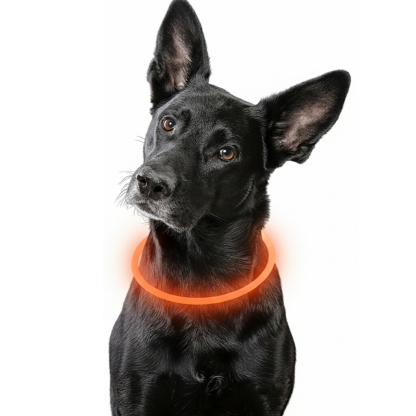 Glow In The Dark Dog Collar With Rechargeable USB Power
