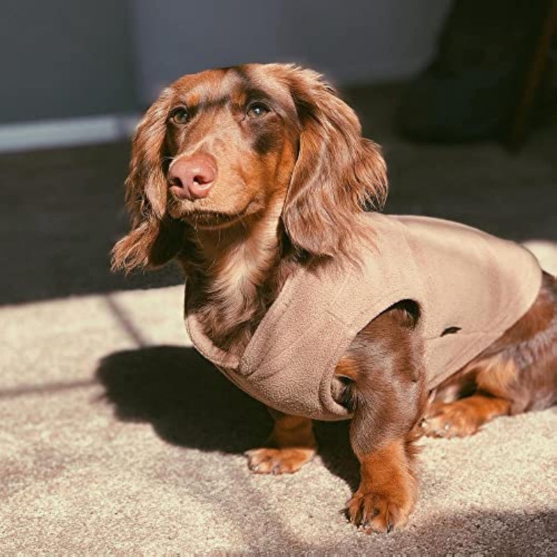 Fleece Vest Dog Sweater Cold Weather Dog Clothes For Small Dogs-Paw Print Pad