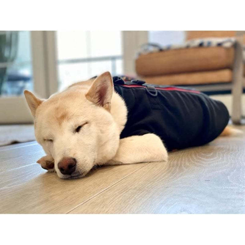 Zip Up Fleece Dog Sweater Winter Small Dog Sweater-Paw Print Pad