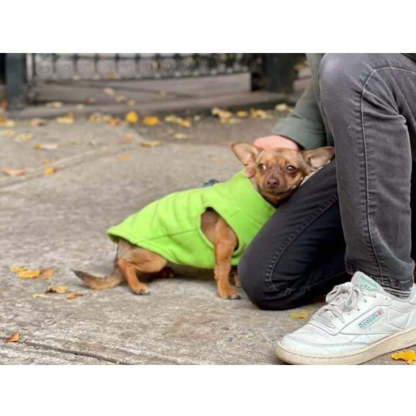 Zip Up Fleece Dog Sweater Winter Small Dog Sweater-Paw Print Pad