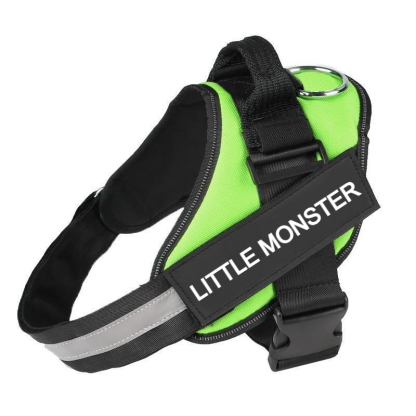 Custom No Pull Dog Harness With Name and Phone Number, Heavy Duty Personalized Pet Vest-Paw Print Pad