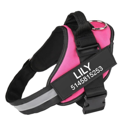Custom No Pull Dog Harness With Name and Phone Number, Heavy Duty Personalized Pet Vest-Paw Print Pad