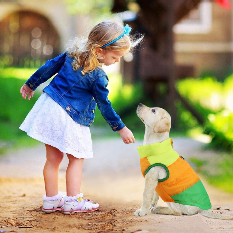 Dog Cat Coat With Leash Anchor Color Patchwork Padded Puppy Vest Jacket Teddy Chihuahua Costumes-Paw Print Pad