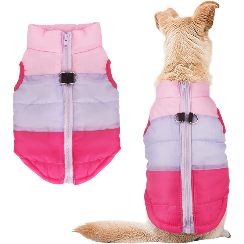 Dog Cat Coat With Leash Anchor Color Patchwork Padded Puppy Vest Jacket Teddy Chihuahua Costumes-Paw Print Pad