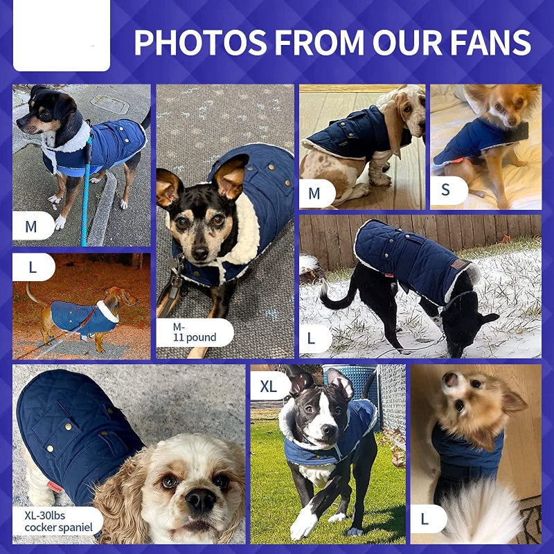 Dog Cold Weather Coats Cozy Windproof Padded Sherpa Warm Dog Jacket For Small Dogs With Furry Collar Dog Apparel-Paw Print Pad