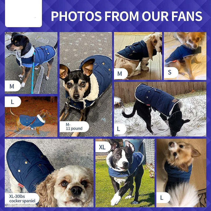 Dog Cold Weather Coats Cozy Windproof Padded Sherpa Warm Dog Jacket For Small Dogs With Furry Collar Dog Apparel-Paw Print Pad