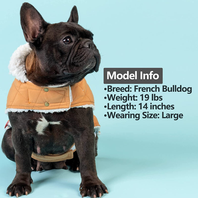 Dog Cold Weather Coats Cozy Windproof Padded Sherpa Warm Dog Yellow Jacket For Small Dogs With Furry Collar Dog Apparel-Paw Print Pad