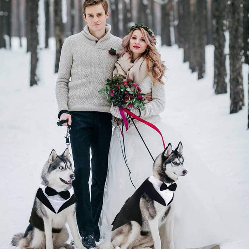 Dog Suit and Bandana Set, Dogs Tuxedo Wedding Party Suit-Paw Print Pad