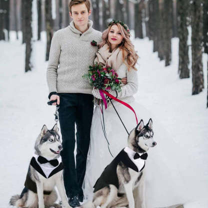 Dog Suit and Bandana Set, Dogs Tuxedo Wedding Party Suit-Paw Print Pad