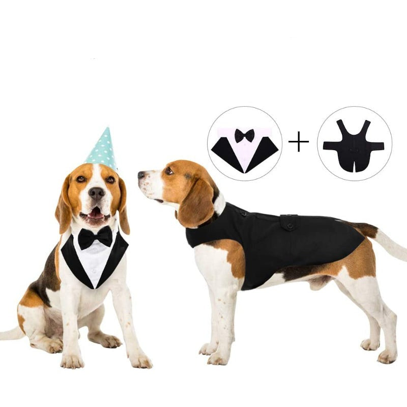 Dog Suit and Bandana Set, Dogs Tuxedo Wedding Party Suit-Paw Print Pad