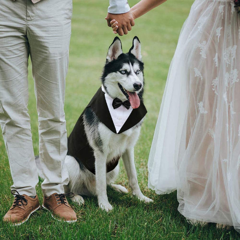 Dog Suit and Bandana Set, Dogs Tuxedo Wedding Party Suit-Paw Print Pad