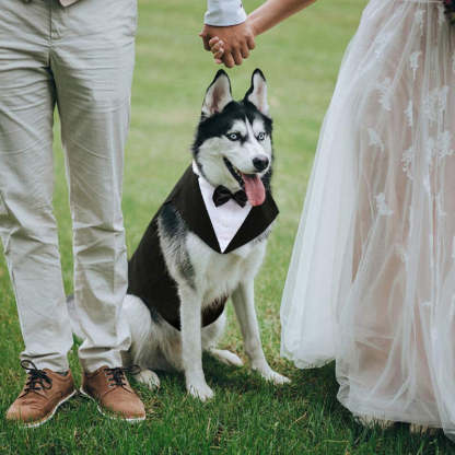 Dog Suit and Bandana Set, Dogs Tuxedo Wedding Party Suit-Paw Print Pad