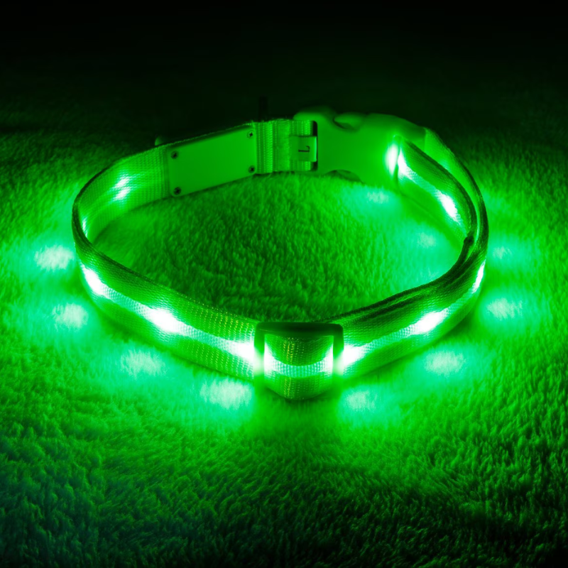 LED Dog Leash For Training-Paw Print Pad