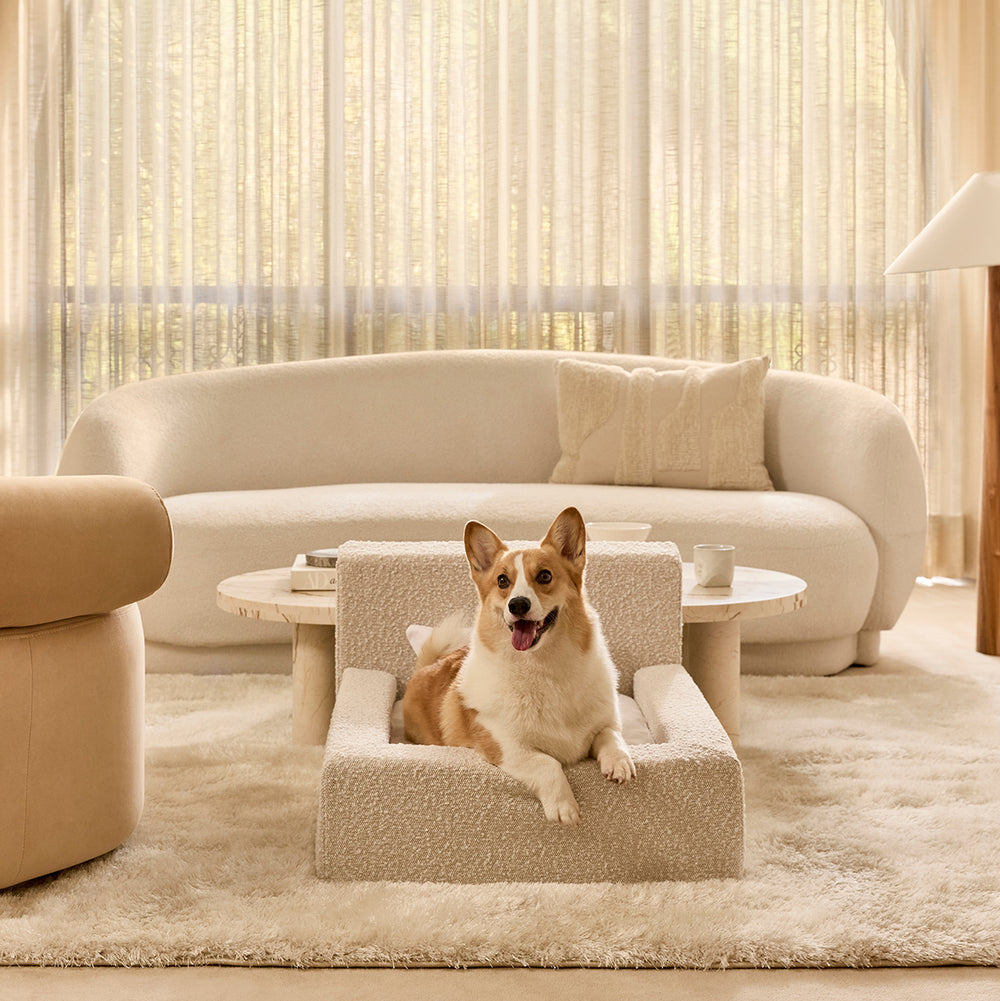 Luxurious Pet Sofa Bed-Paw Print Pad