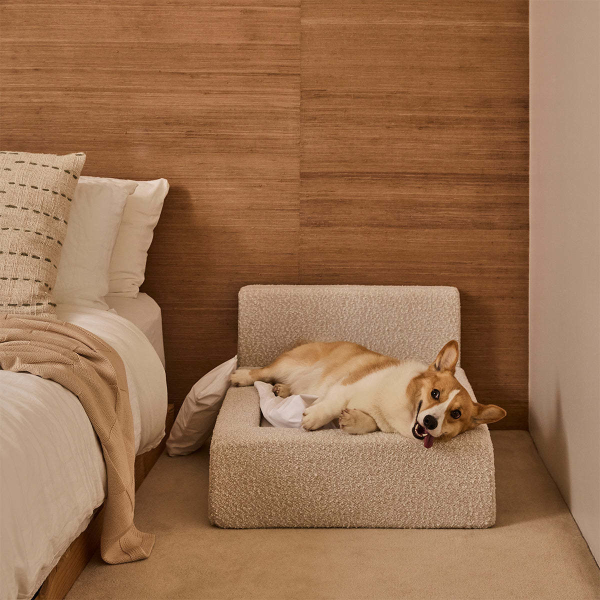 Luxurious Pet Sofa Bed-Paw Print Pad