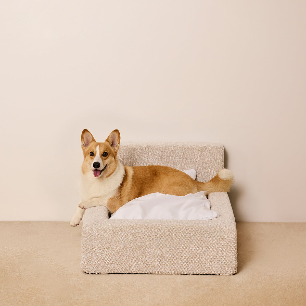 Luxurious Pet Sofa Bed-Paw Print Pad