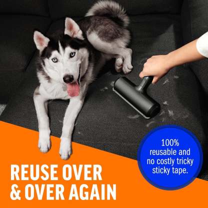 Multi Surface Pet Reusable Lint Roller And Remover-Paw Print Pad