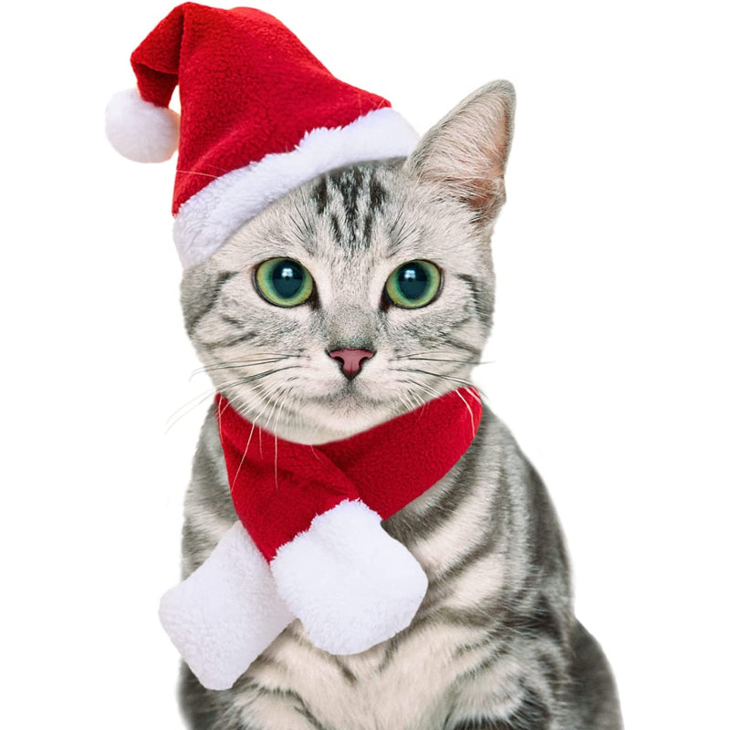 Pet Hat: Santa, Birthday, Halloween, Christmas-Paw Print Pad