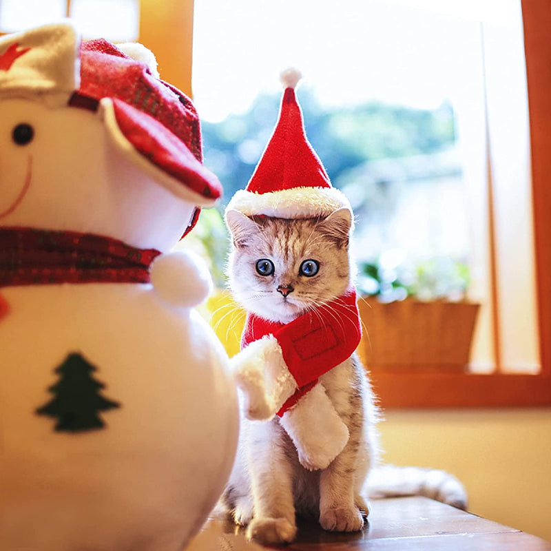 Pet Hat: Santa, Birthday, Halloween, Christmas-Paw Print Pad