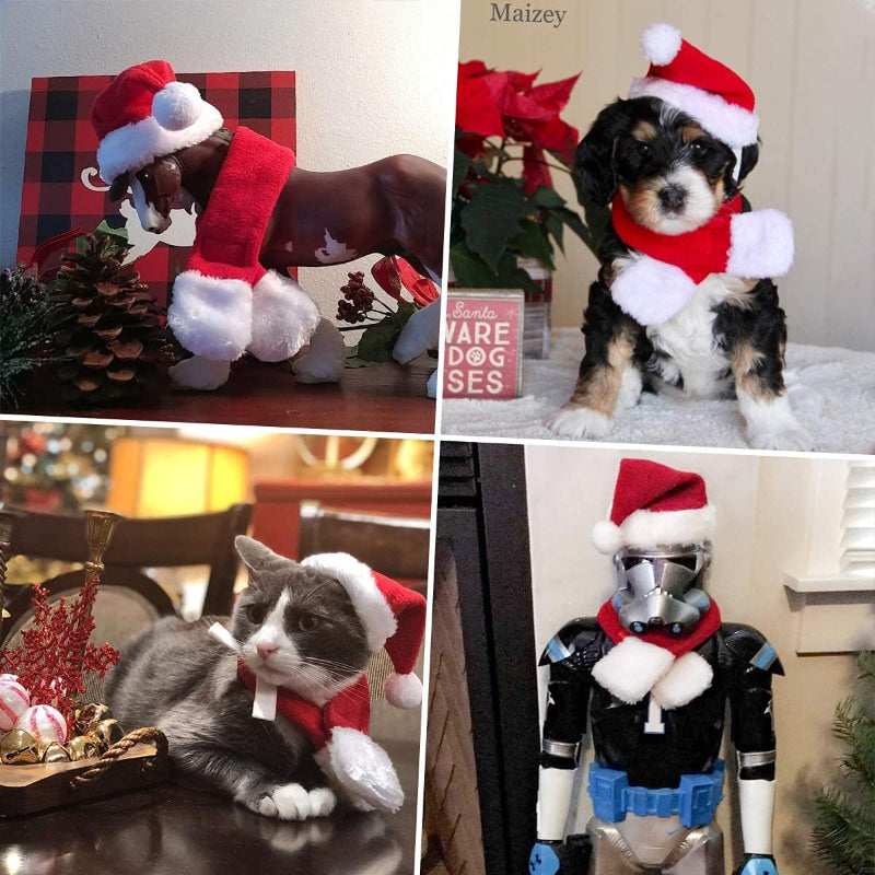 Pet Hat: Santa, Birthday, Halloween, Christmas-Paw Print Pad