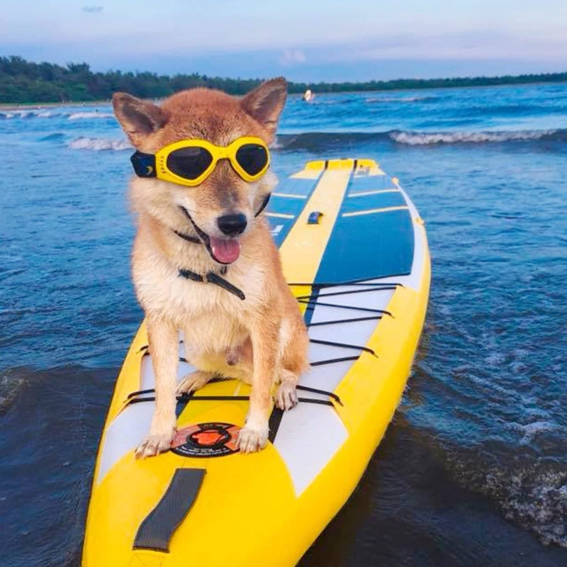 Dog Glasses Medium Adjustable Bulldog Windproof Motorcycle-Paw Print Pad