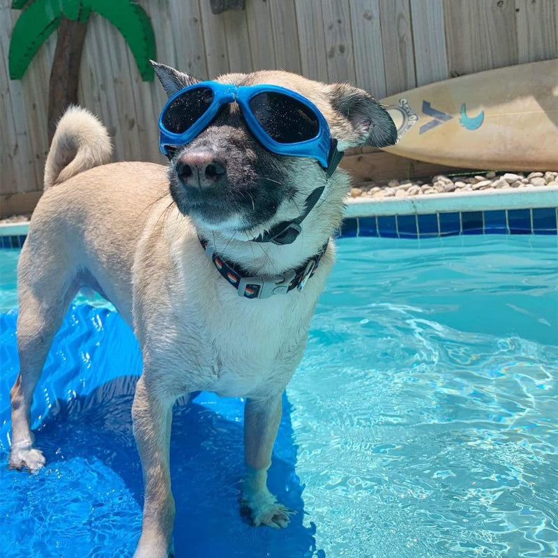 Dog Glasses Medium Adjustable Bulldog Windproof Motorcycle-Paw Print Pad