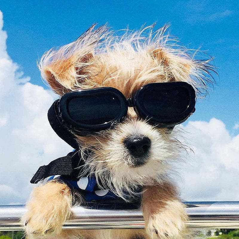 Small Dog Goggles UV Protection Adjustable Clear Doggy Sungalsses Easy Wear Windproof Motorcycle Puppy Glasses-Paw Print Pad