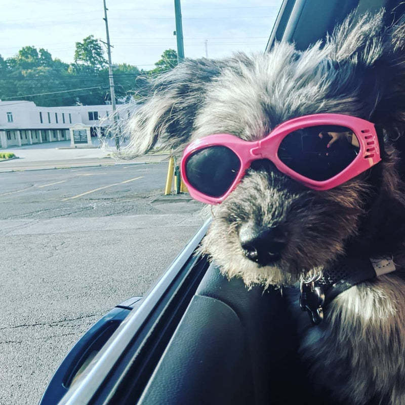 Dog Glasses Medium Adjustable Bulldog Windproof Motorcycle-Paw Print Pad