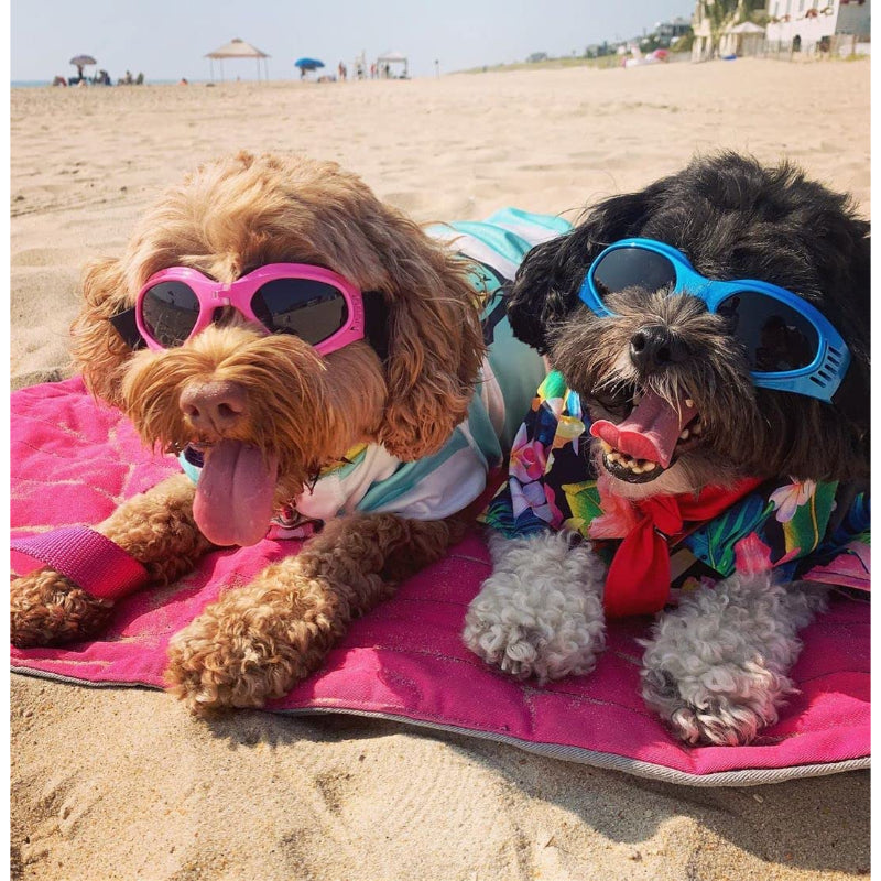 Dog Glasses Medium Adjustable Bulldog Windproof Motorcycle-Paw Print Pad