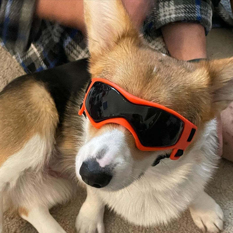 Dog Glasses Medium Adjustable Bulldog Windproof Motorcycle-Paw Print Pad