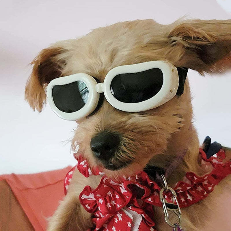 Small Dog Goggles UV Protection Adjustable Clear Doggy Sungalsses Easy Wear Windproof Motorcycle Puppy Glasses-Paw Print Pad