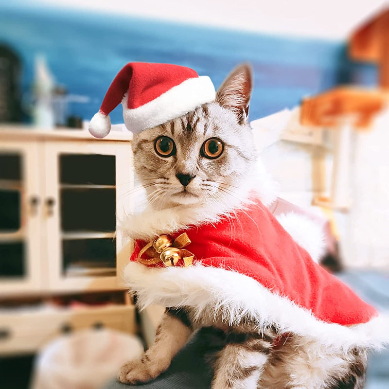 Pet Hat: Santa, Birthday, Halloween, Christmas-Paw Print Pad