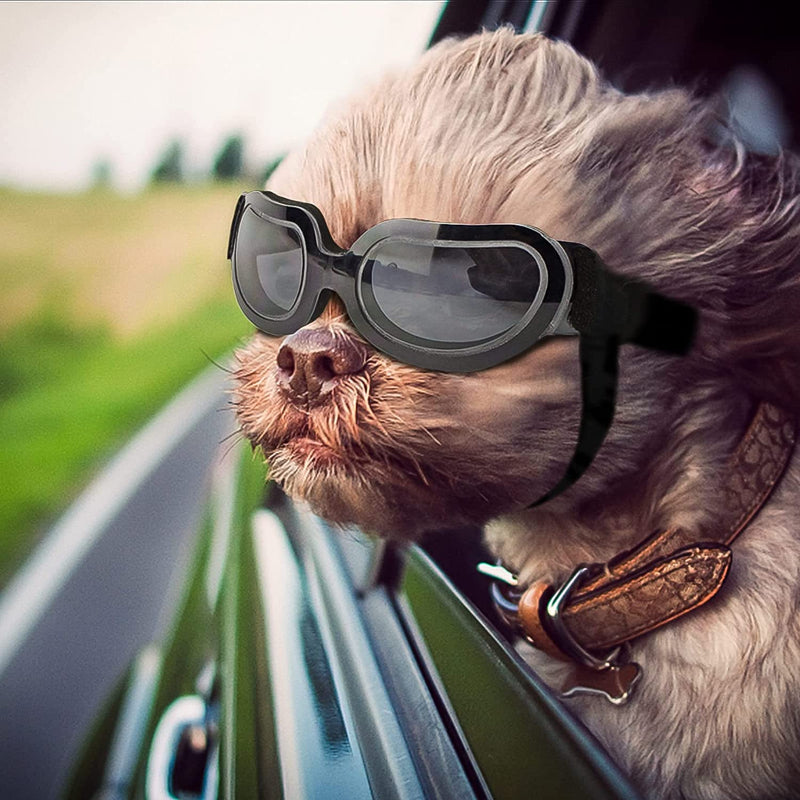 Small Dog Goggles UV Protection Adjustable Clear Doggy Sungalsses Easy Wear Windproof Motorcycle Puppy Glasses-Paw Print Pad
