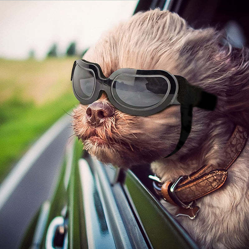 Small Dog Goggles UV Protection Adjustable Clear Doggy Sungalsses Easy Wear Windproof Motorcycle Puppy Glasses-Paw Print Pad