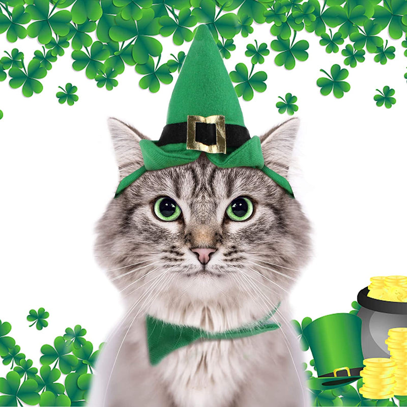 Pet Hat: Santa, Birthday, Halloween, Christmas-Paw Print Pad