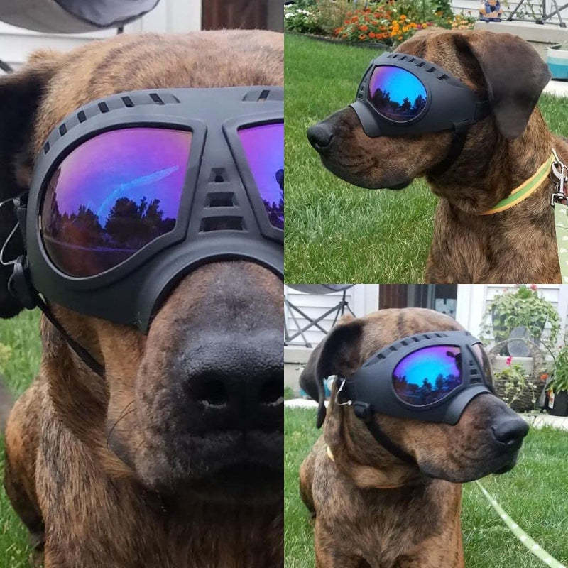 Dog Goggles Medium-Large Dog UV Sunglasses Windproof Snowproof Soft Frame Glasses for Long Snout Dogs Eyes Protection, Black-Paw Print Pad