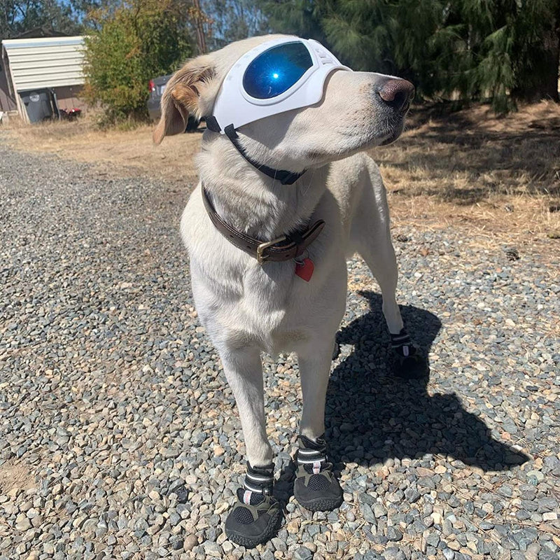 Dog Goggles Medium-Large Dog UV Sunglasses Windproof Snowproof Soft Frame Glasses for Long Snout Dogs Eyes Protection, Black-Paw Print Pad