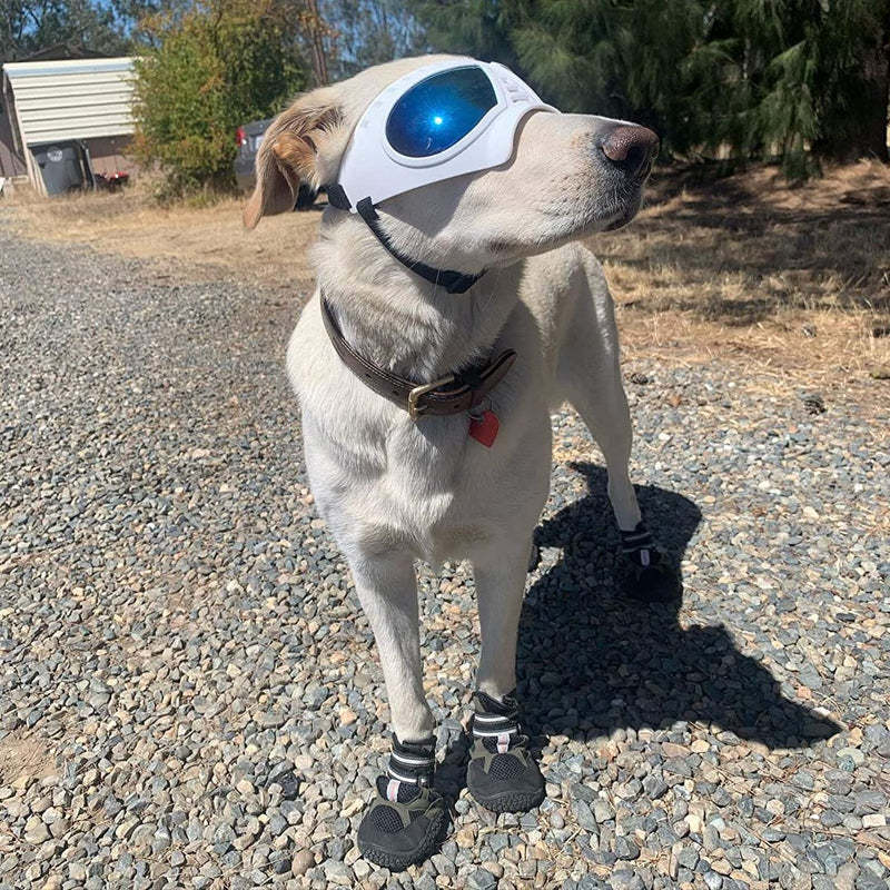 Dog Goggles Medium-Large Dog UV Sunglasses Windproof Snowproof Soft Frame Glasses for Long Snout Dogs Eyes Protection, Black-Paw Print Pad