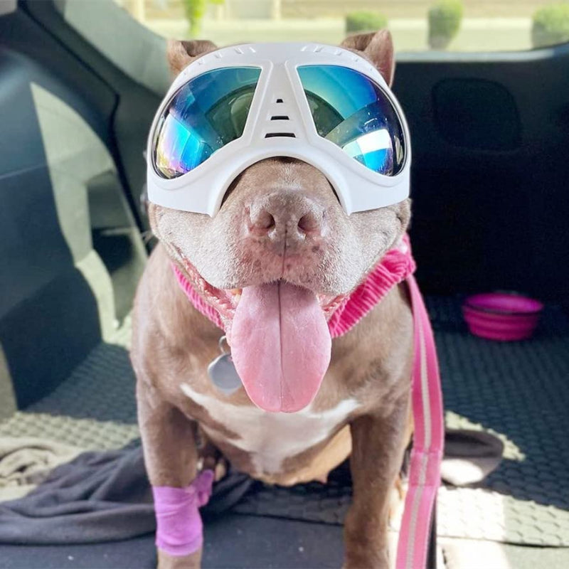 Dog Goggles Medium-Large Dog UV Sunglasses Windproof Snowproof Soft Frame Glasses for Long Snout Dogs Eyes Protection, Black-Paw Print Pad