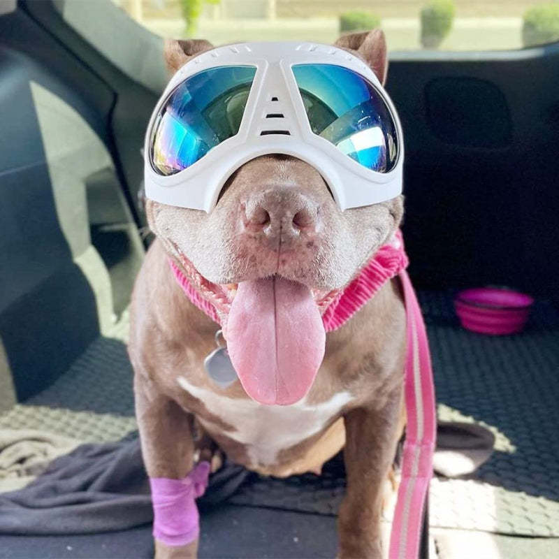 Dog Goggles Medium-Large Dog UV Sunglasses Windproof Snowproof Soft Frame Glasses for Long Snout Dogs Eyes Protection, Black-Paw Print Pad