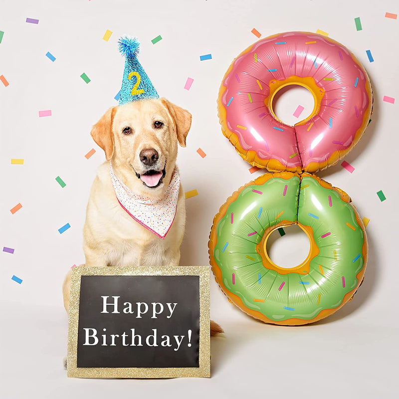 Small Dog Birthday Hat Set For Boys Girls Medium Dogs Cat Kitten Puppies Party Hats with 0-9 Numbers 10 Glue Dots Grooming Accessories-Paw Print Pad