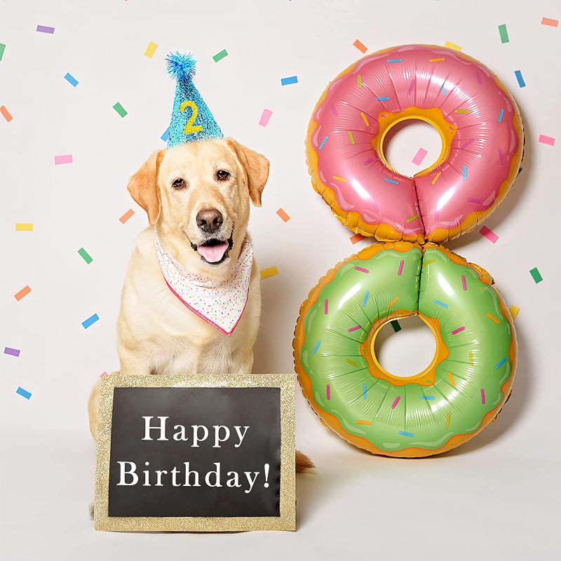 Small Dog Birthday Hat Set For Boys Girls Medium Dogs Cat Kitten Puppies Party Hats with 0-9 Numbers 10 Glue Dots Grooming Accessories-Paw Print Pad