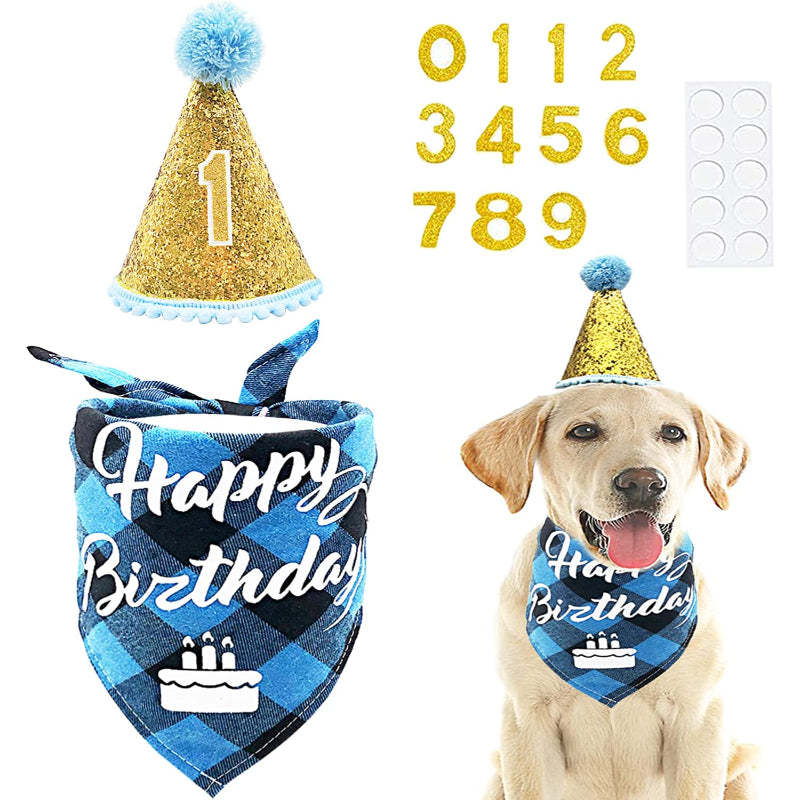 Crown Dog Birthday Party Hat For Pets With Figures And With Glue Dots-Paw Print Pad