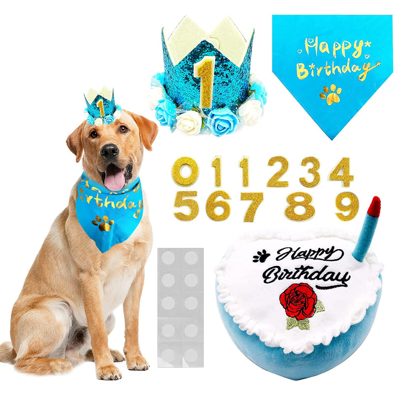 Crown Dog Birthday Party Hat For Pets With Figures And With Glue Dots-Paw Print Pad