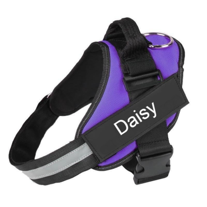 Custom No Pull Dog Harness With Name and Phone Number, Heavy Duty Personalized Pet Vest-Paw Print Pad