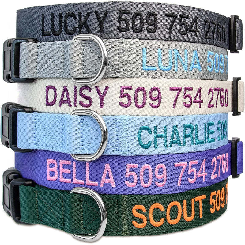 Personalized Dog Collar With Custom Embroidery-Paw Print Pad