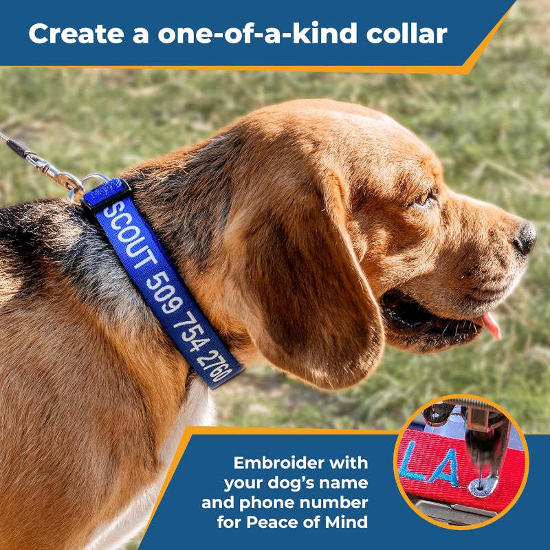 Personalized Dog Collar With Custom Embroidery-Paw Print Pad
