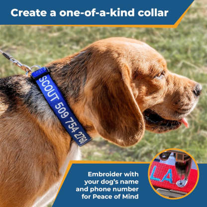 Personalized Dog Collar With Custom Embroidery-Paw Print Pad
